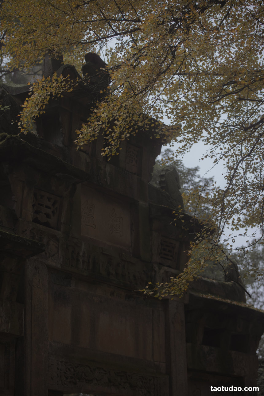 图片[4]-[YITUYU艺图语]2022.03.07 念及 二鱼阿[27+1P／406MB]-绅士图