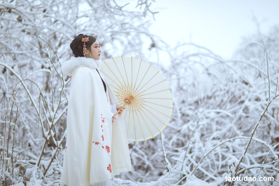 图片[4]-[YITUYU艺图语]2023.04.19 梅花香自苦寒来 小风[24+1P／160MB]-绅士图