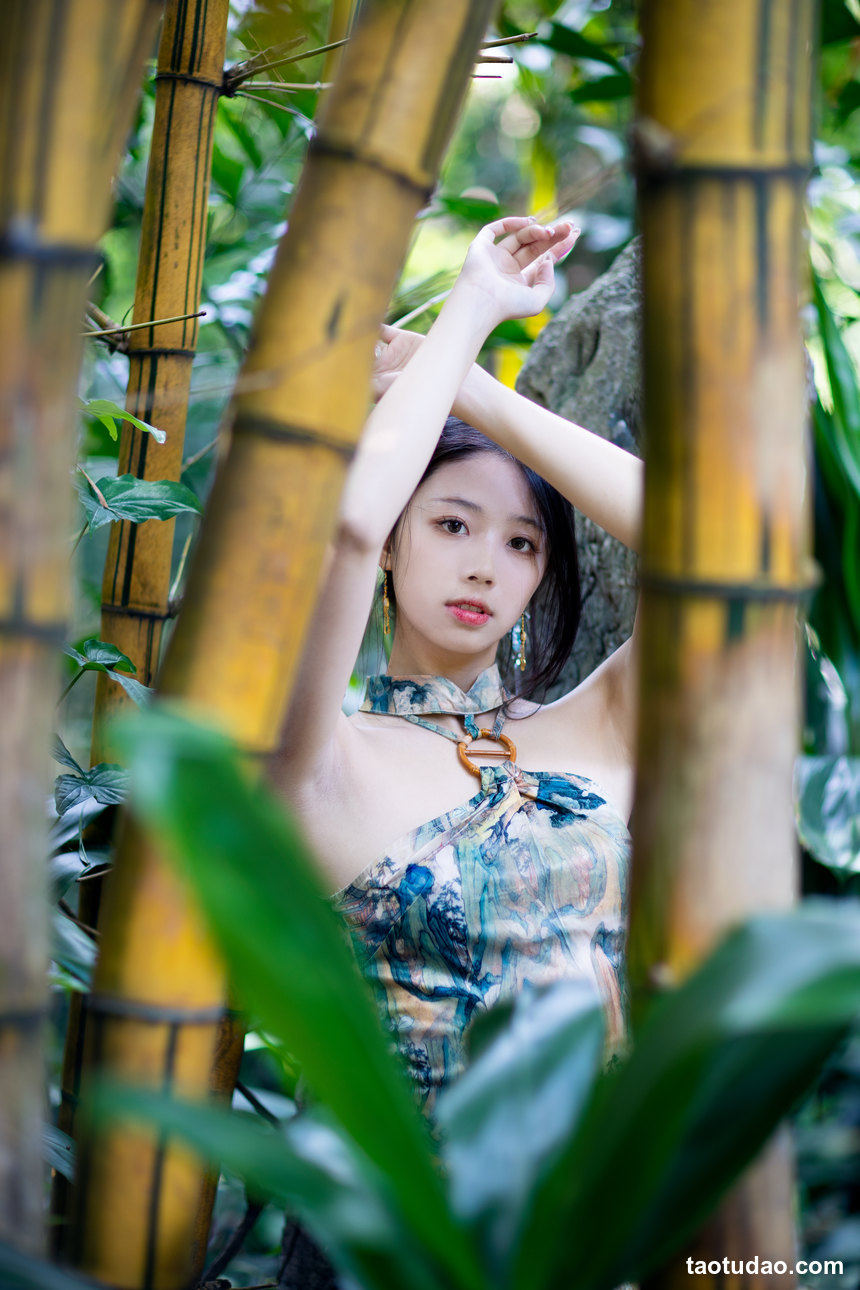 图片[2]-[YITUYU艺图语]2022.08.02 只此青绿 菠萝包[41+1P／488MB]-绅士图