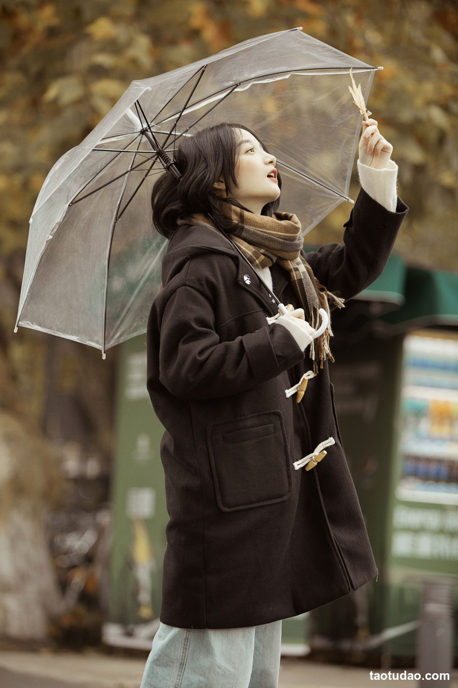 图片[4]-[YITUYU艺图语]2023.01.16 漫步梧桐林 肖绿叶[25+1P／320MB]-绅士图