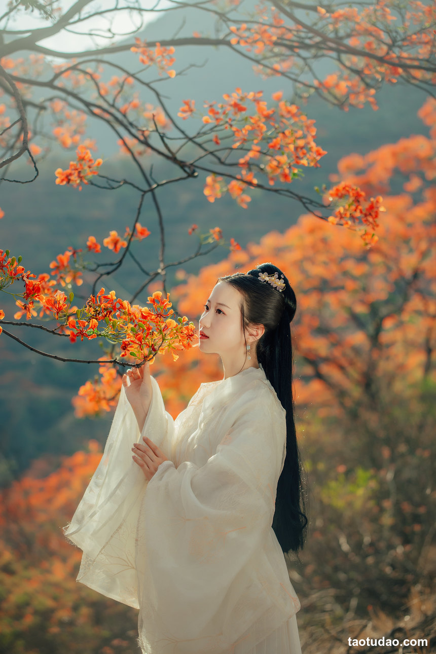 图片[2]-[YITUYU艺图语]2022.05.28 凤凰花开 粥米饭[25+1P／415MB]-绅士图